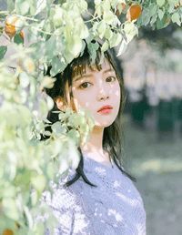 (新书)拥抱甜月光全文阅读