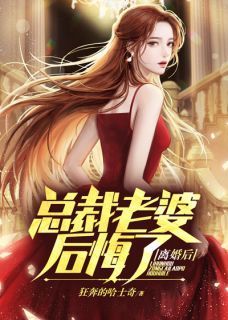 离婚后,总裁老婆后悔了未删减阅读