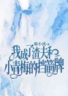【抖音】小说我成了渣夫和小青梅的挡箭牌txt全文在线阅读