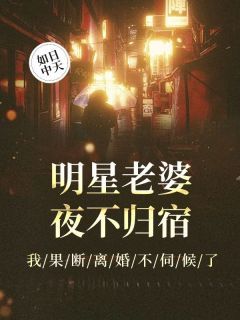 小说明星老婆夜不归宿,我果断离婚不伺候了无广告阅读