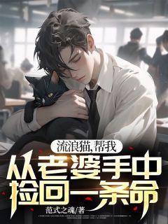 流浪猫,帮我从老婆手中捡回一条命
