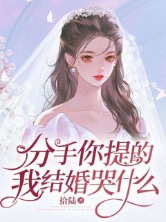【完结版】《分手你提的，我结婚哭什么》主角赵宸苏若薇章节在线阅读