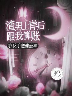 渣男上岸后跟我算账,我反手送他坐牢小说