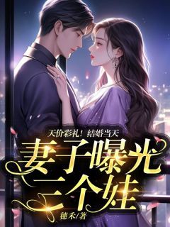 王子成林小田小说全文在线阅读 天价彩礼!结婚当天,妻子曝光三个娃全文完整版章节