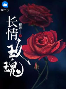 《长情玫瑰》小说章节列表在线试读 白月司渊小说全文