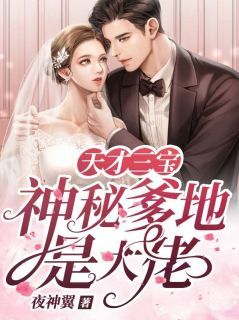 风千雪夜震霆大结局在线阅读 《天才三宝:神秘爹地是大佬》免费阅读