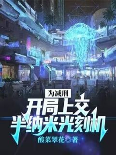 《李红旗任素妃》小说完结版在线试读 为减刑,开局上交半纳米光刻机小说阅读