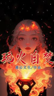 《玩火自焚》小说章节目录在线试读 主角：小七林烬  2.