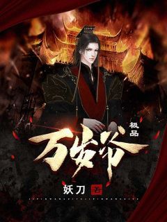 《极品万岁爷》小说全集免费免费试读(林萧萧淑妃)第8章
