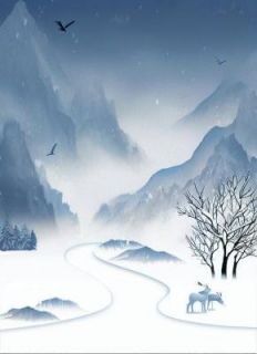 《安意贺时砚》小说完结版精彩试读 掌心安意小说阅读