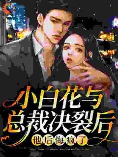 《沈宜周从瑾》小说大结局在线阅读 离婚后,他才想起来爱我小说阅读