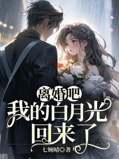 《离婚吧,我的白月光回来了》小说免费阅读 《离婚吧,我的白月光回来了》最新章节列表