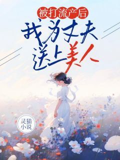 《张念李西海韩滢滢》被打流产后,我为丈夫送上美人章节在线阅读