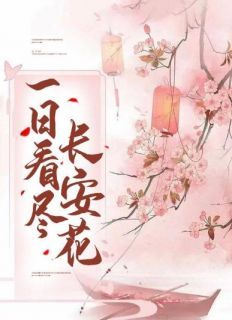 江识檀卫宴述小说全文免费阅读 一日春尽长安花章节目录完整版