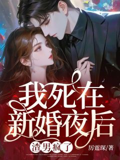 新书《我死在新婚夜后,渣男疯了》小说全集阅读 苏菀陆时晏小说免费精彩章节全文