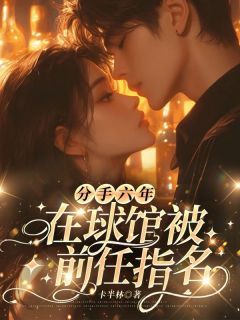 《分手六年,在球馆被前任指名》小说章节目录在线试读 林心洛段亦枫小说阅读