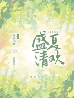 盛夏清欢小说阅读 5、