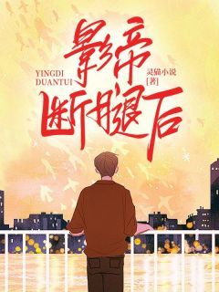 林絮沈遂全集免费在线阅读(影帝断腿后)