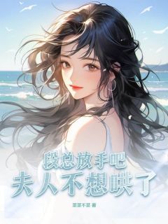 段总放手吧,夫人不想哄了沈翩然段承峻小说全文阅读