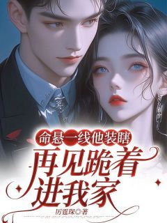《苏菀陆时晏》小说免费阅读 命悬一线他装瞎,再见跪着进我家小说大结局在线阅读
