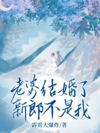老婆结婚了,新郎不是我by霹雳大爆炸无防盗章在线阅读