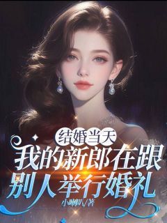 结婚当天，我的新郎在跟别人举行婚礼婉婉秦舟淮白清知结局完整全文