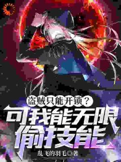 盗贼只能开锁?可我能无限偷技能主角风九元凤全文章节在线阅读