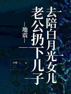 林景年叶念小说完整版在线阅读(主角地震,老公扔下儿子,去陪白月光女儿)