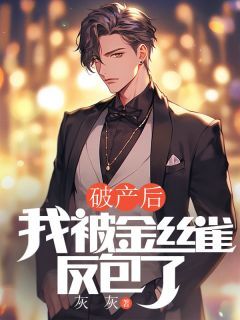 破产后,我被金丝雀反包了大结局在线阅读 《乔沐轩丁晴芸》免费阅读