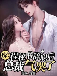 《程意陆宗珣》小说大结局免费试读 惊!程秘书辞职后,总裁气哭了小说阅读