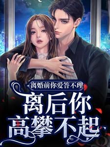 《离婚前你爱答不理,离后你高攀不起》林舒傅明诚章节免费阅读 第4章