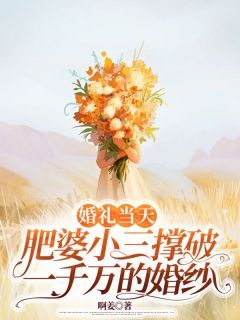 婚礼当天,肥婆小三撑破一千万的婚纱全文免费试读 杨青青陆炎小说全本无弹窗