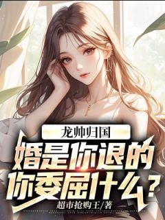 《龙帅归国:婚是你退的,你委屈什么?》苏护萧红叶精彩章节在线阅读