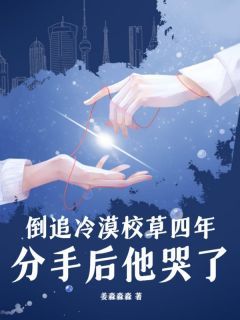 《倒追冷漠校草四年,分手后他哭了》小说完结版免费阅读 洛星顾时砚小说全文