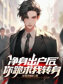 净身出户后,你跪求我转身叶辰苏清影全本在线阅读
