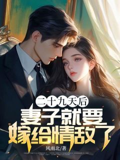 张天昊陆婉晴二十九天后,妻子就要嫁给情敌了小说全部章节目录