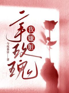 《二手玫瑰我嫌脏》小说全文在线阅读 顾今也林敬南主角:顾今也林敬南 2小说阅读