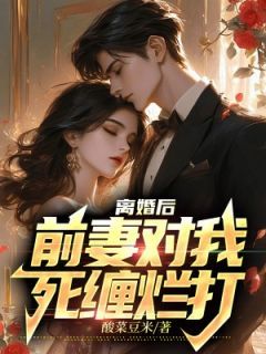 新书《江凡顾清雪》小说全集阅读 离婚后,前妻对我死缠烂打小说免费精彩章节全文