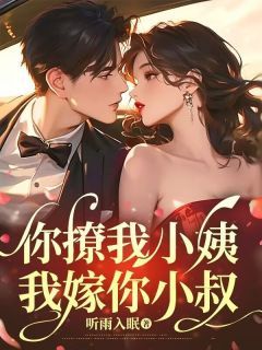 你撩我小姨,我嫁你小叔