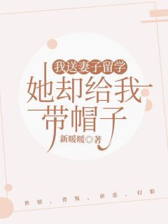 我送妻子留学，她却给我带帽子小说全文在线阅读 苏沁全文完整版章节