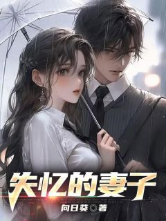 《失忆的妻子》小说全文在线阅读 顾琛沈凝第3章 3小说阅读