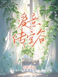 《沈莜宁陆时》小说章节目录精彩阅读 爱意传空谷小说阅读