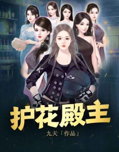 《护花殿主》小说全集免费在线阅读(叶凡杜月娥)