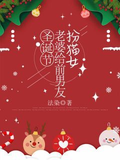 【爆款新书】柳如烟黎漫于洋 圣诞节,老婆给前男友扮猫女小说全文章节在线阅读