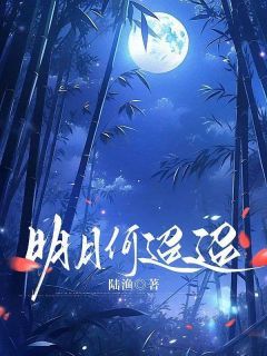 褚寒月沈牧安大结局在线阅读 《明月何迢迢》免费阅读
