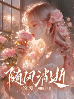 《随风消逝的爱》小玲张励成完结版免费试读