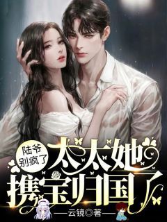 《陆爷别疯了,太太她携宝归国了》小说全文免费阅读 夏汐颜陆北沉小说全文