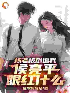 主角是祁同伟侯亮平的小说 《杨老板倒追我,侯亮平眼红什么》 全文免费阅读