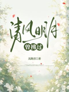 清风明月曾拂过小说全文免费阅读 尹清雅许君延章节目录精彩章节