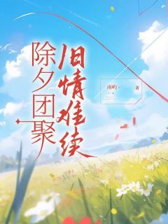《除夕团聚,旧情难续》小说章节目录免费阅读 关漫沈旭小说全文